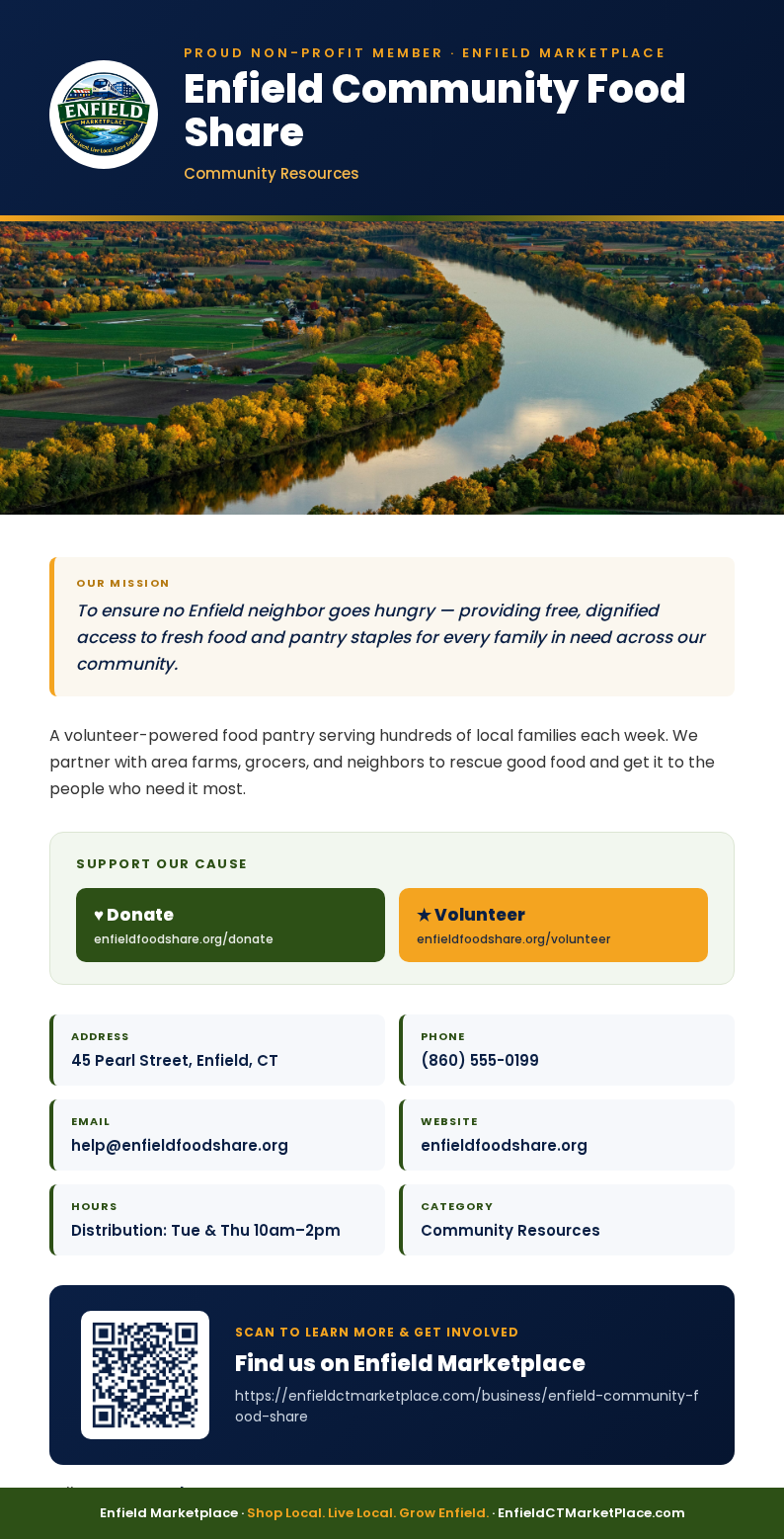 Sample non-profit flyer featuring a mission statement with Donate and Volunteer buttons